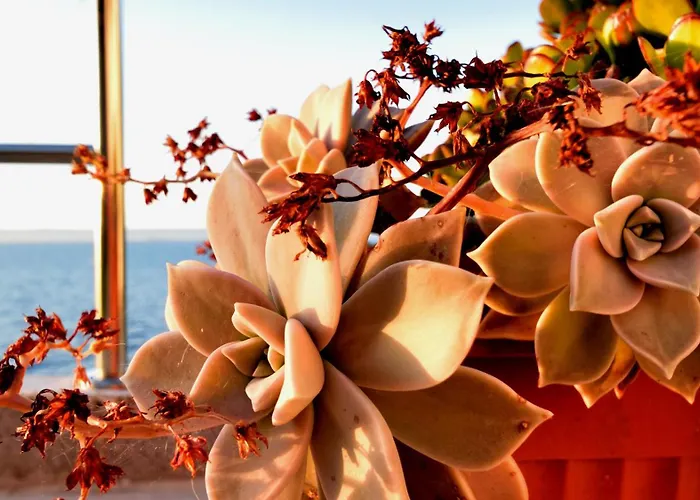 Seafront - Private Jacuzzi Villa