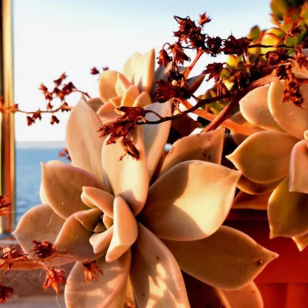 Seafront - Private Jacuzzi Villa